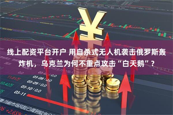 线上配资平台开户 用自杀式无人机袭击俄罗斯轰炸机，乌克兰为何不重点攻击“白天鹅”？