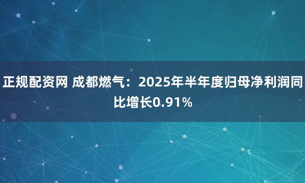 正规配资网 成都燃气：2025年半年度归母净利润同比增长0.91%