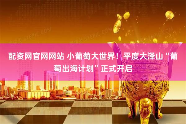 配资网官网网站 小葡萄大世界！平度大泽山“葡萄出海计划”正式开启