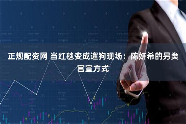 正规配资网 当红毯变成遛狗现场：陈妍希的另类官宣方式