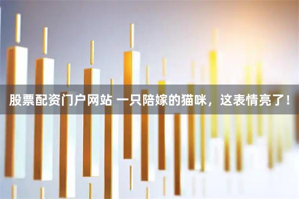 股票配资门户网站 一只陪嫁的猫咪，这表情亮了！